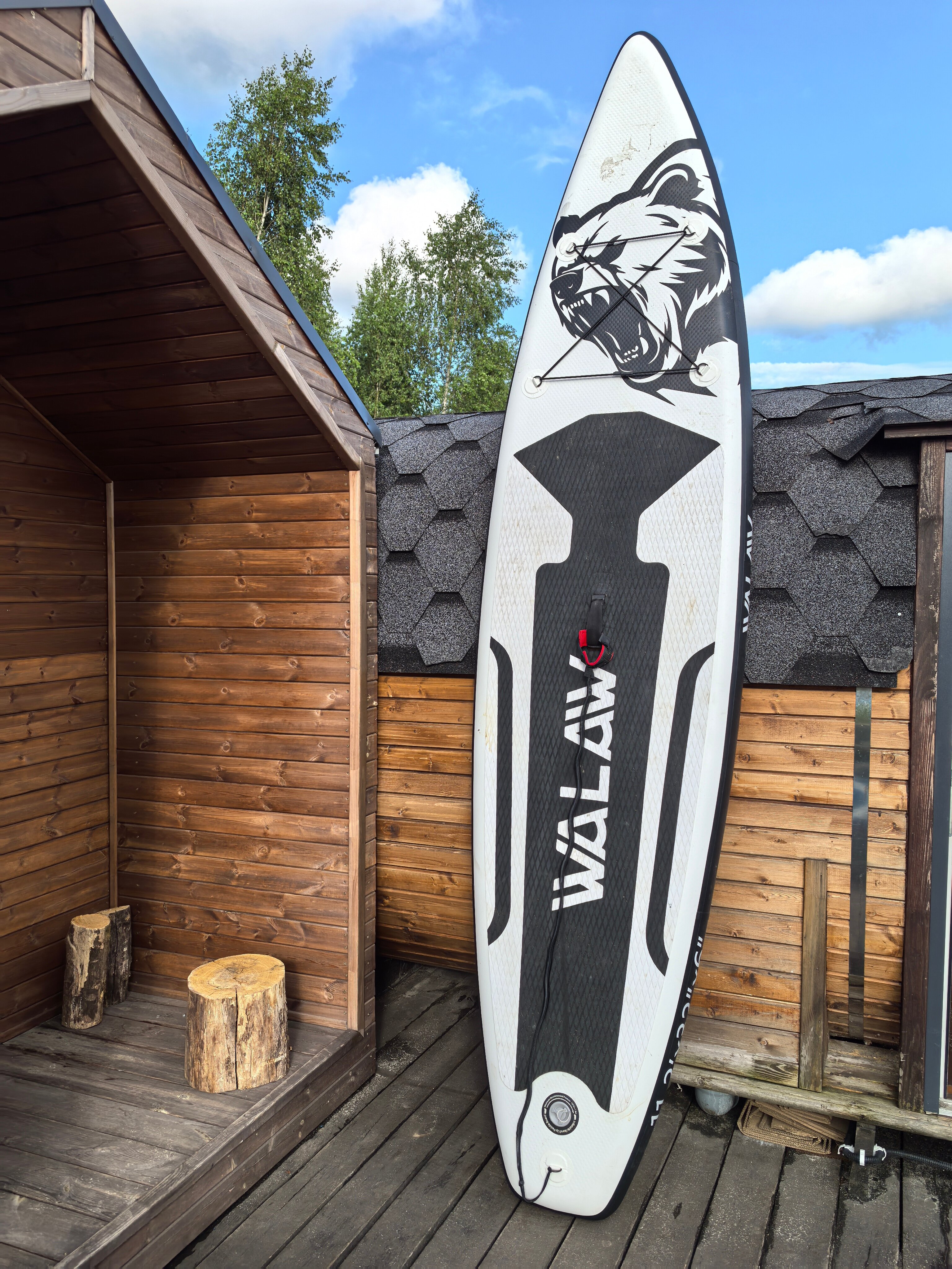 Фото Forest chan