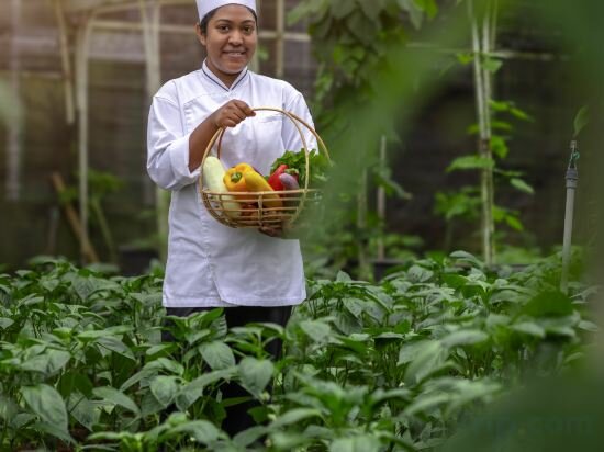 Фото The Golden Ridge Hotel