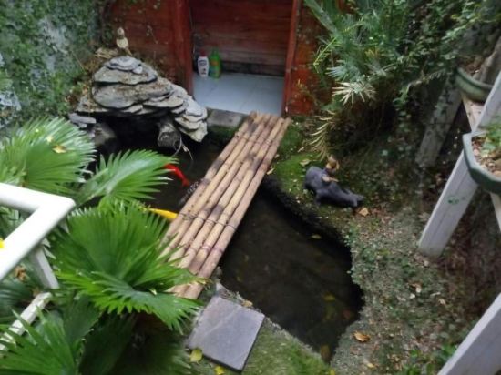 Фото Green Homestay Ha Noi