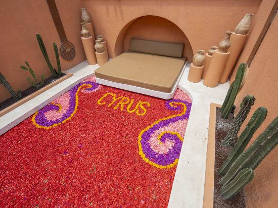 Фото 181223597734