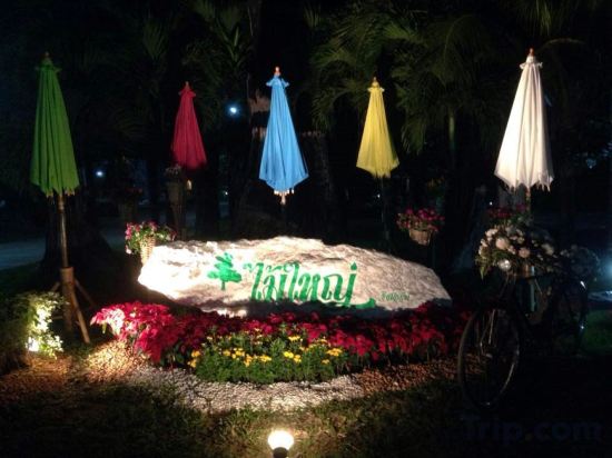 Фото Big Tree Resort