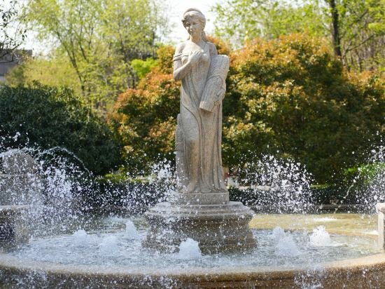 Фото 49132333548