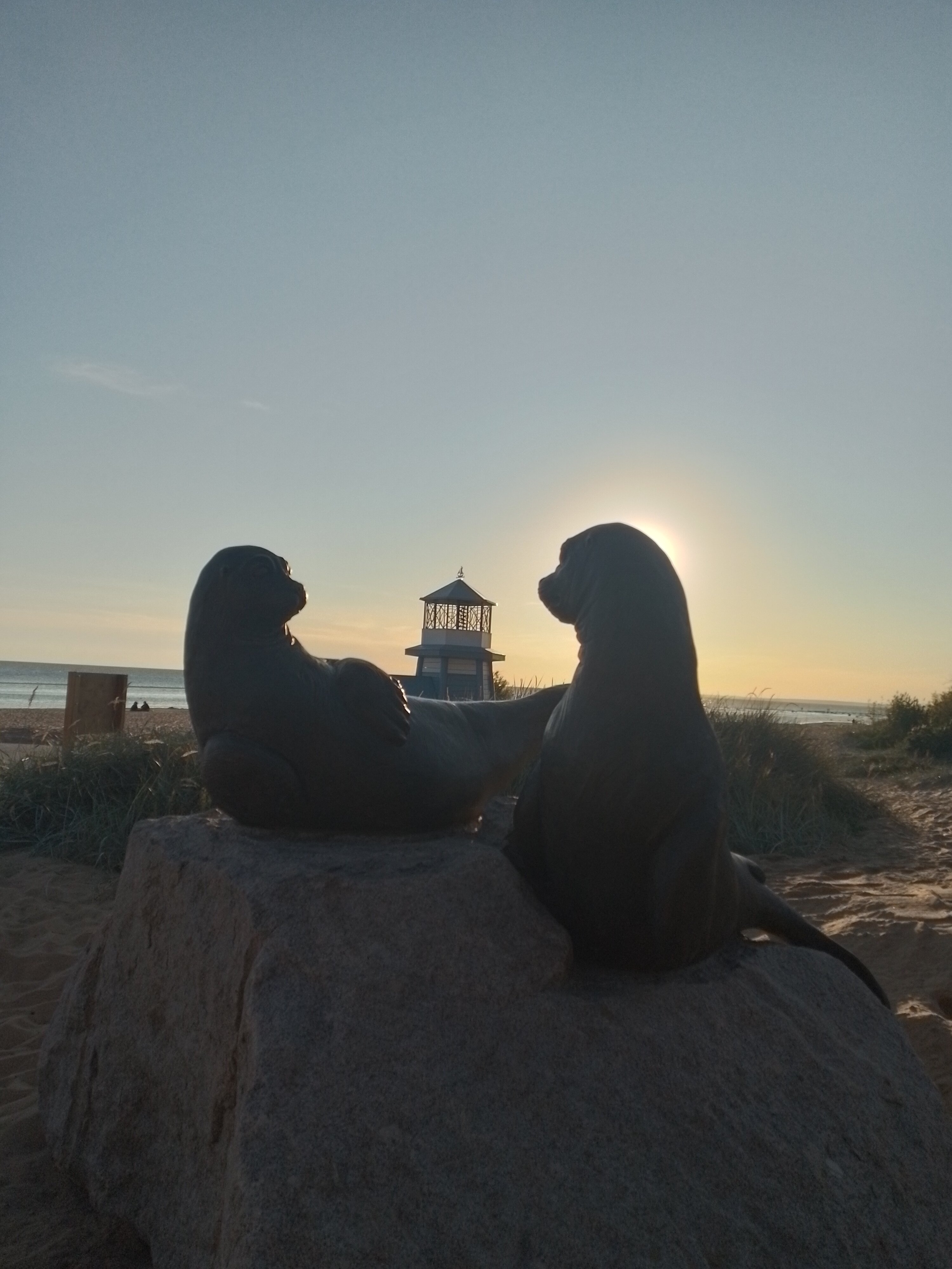 Фото Комарово