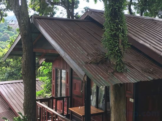 Фото Phi Phi Green Hill Resort