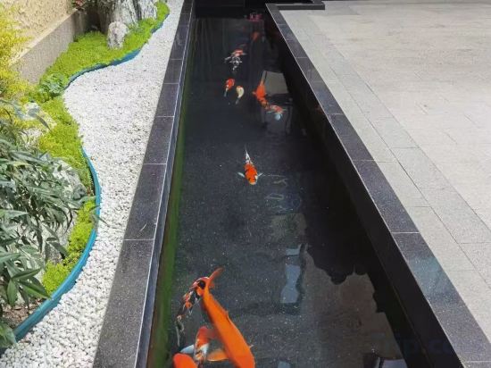 Фото Yishiyuan Hotel