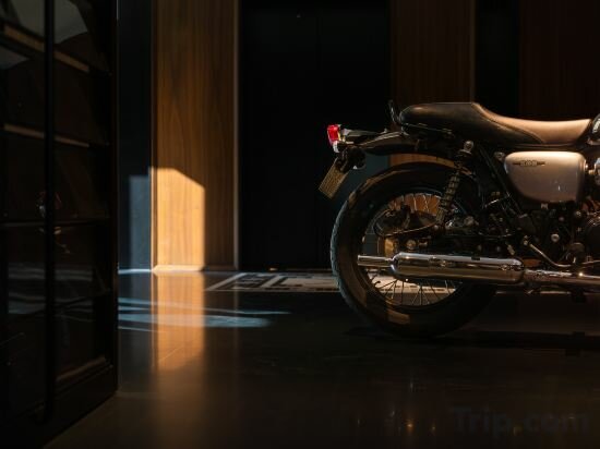 Фото Flow and Co. Qingdao, Autograph Collection