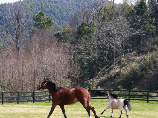 Фото Wyndham Grand Plaza Royale Hot Springs Resort Tianmu Lake