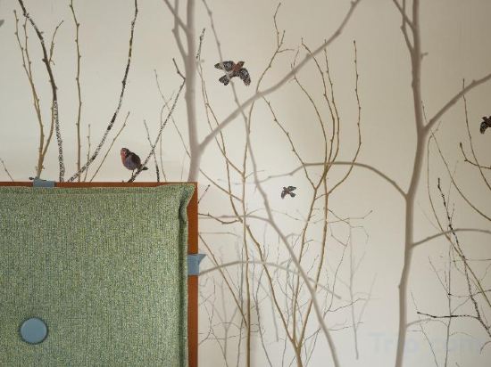 Фото Villa Appiani