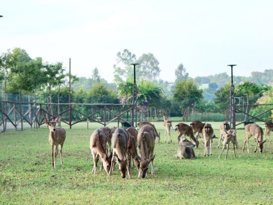Фото Asean Resort - Shiki Onsen & SPA