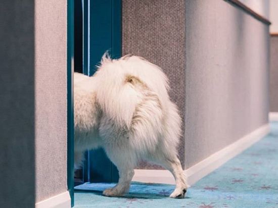 Фото Citadines Connect Sydney Airport