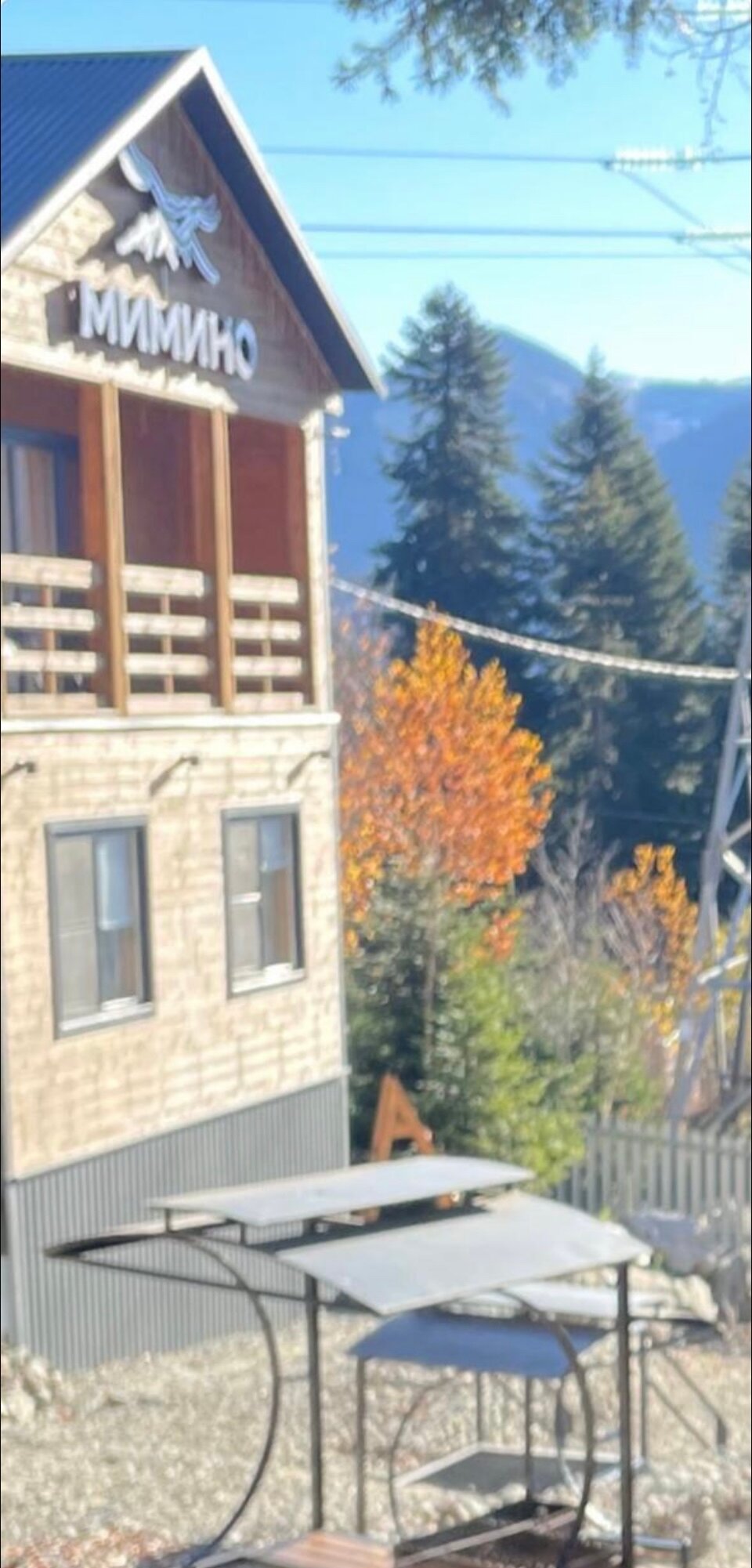 Фото Мимино