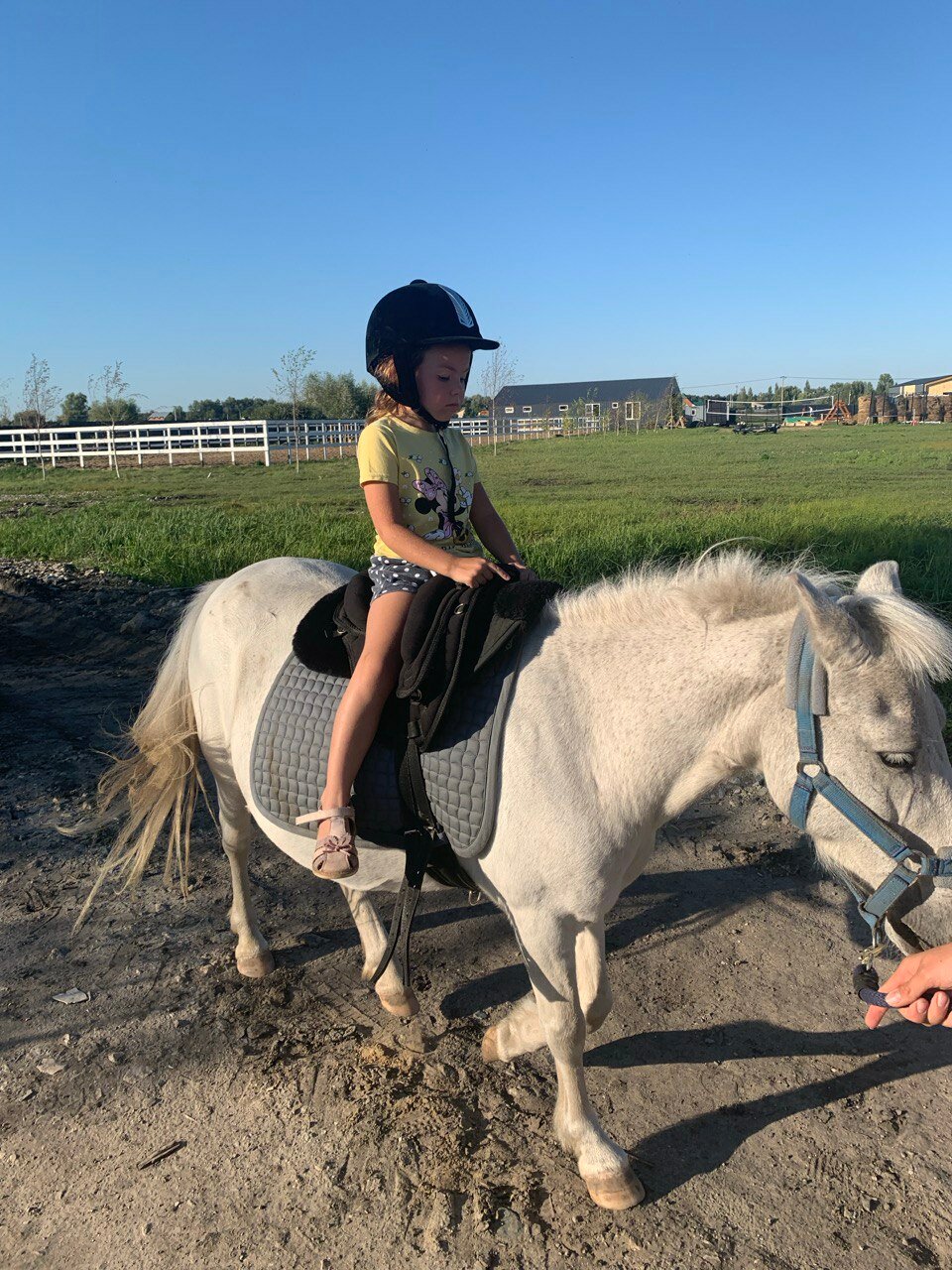 Фото Совушка