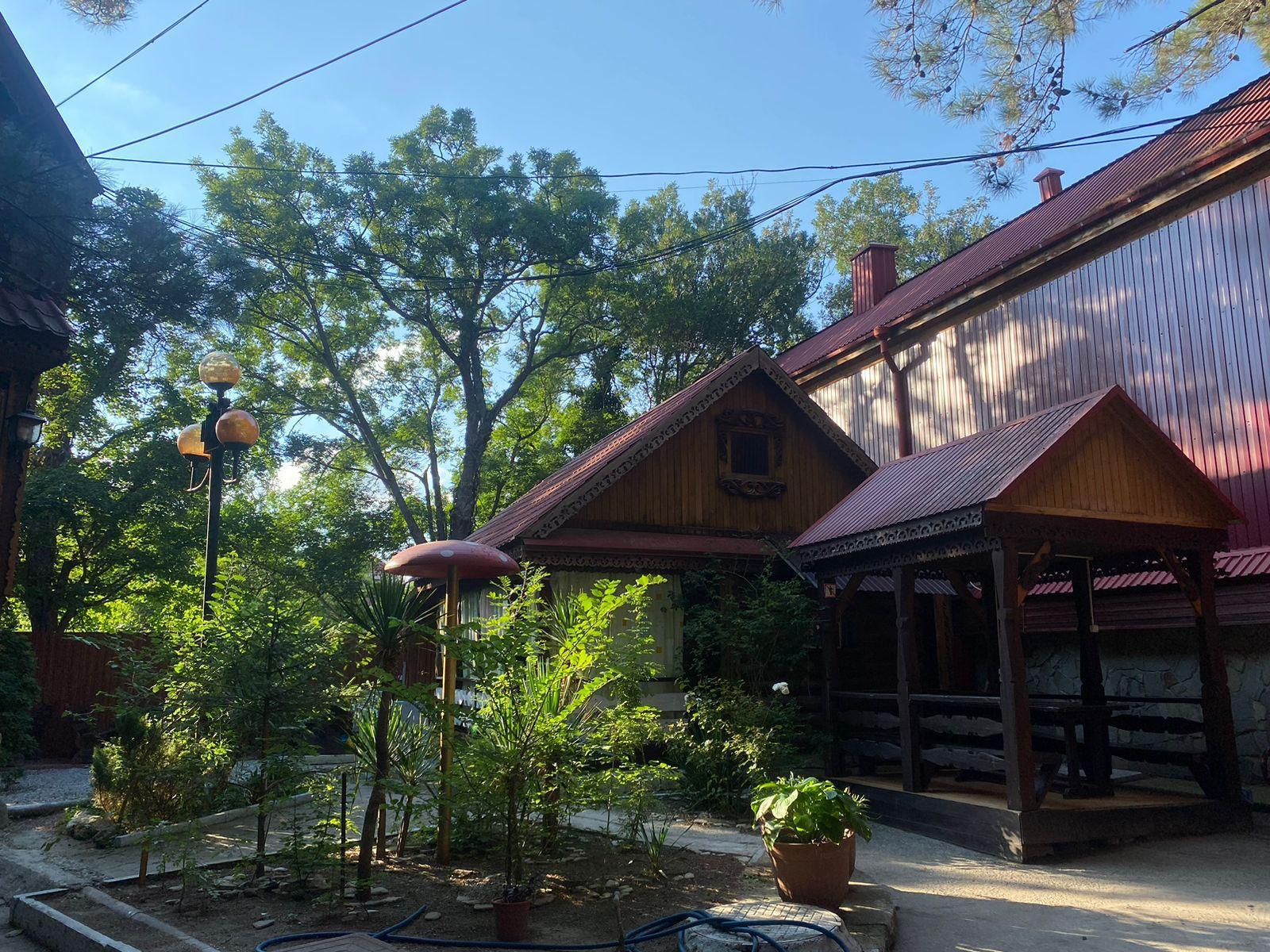 Фото Сосновый бор