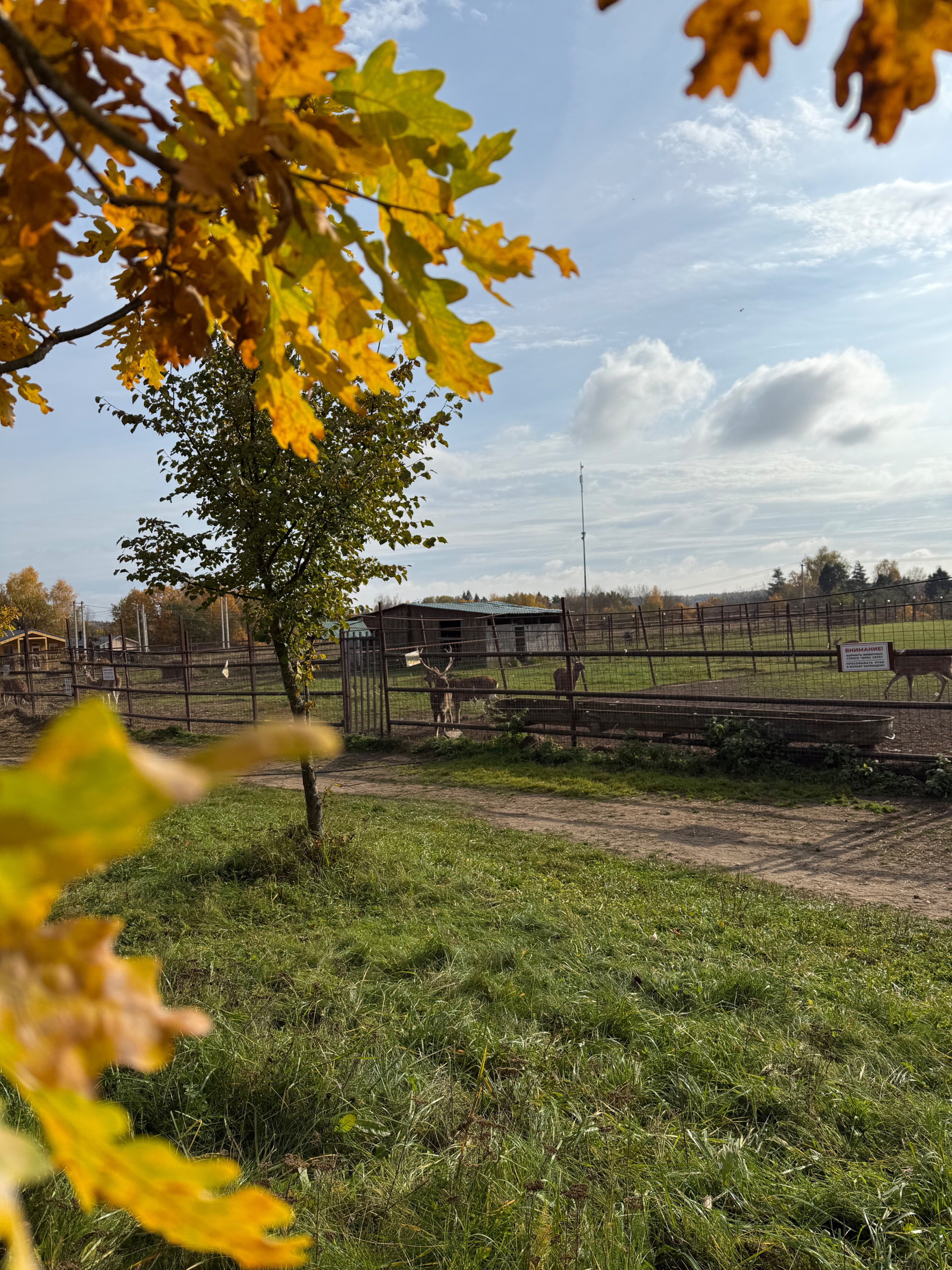 Фото Дом с характером