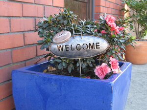 Гостиница Amber Court Motel