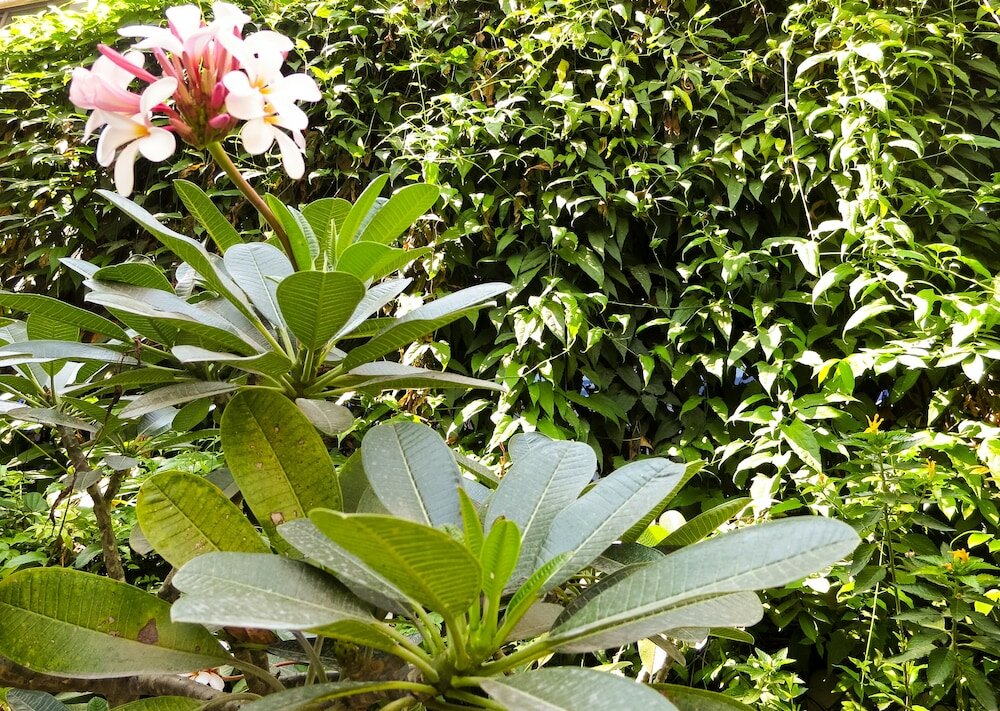 Фото Baansilom Soi 3