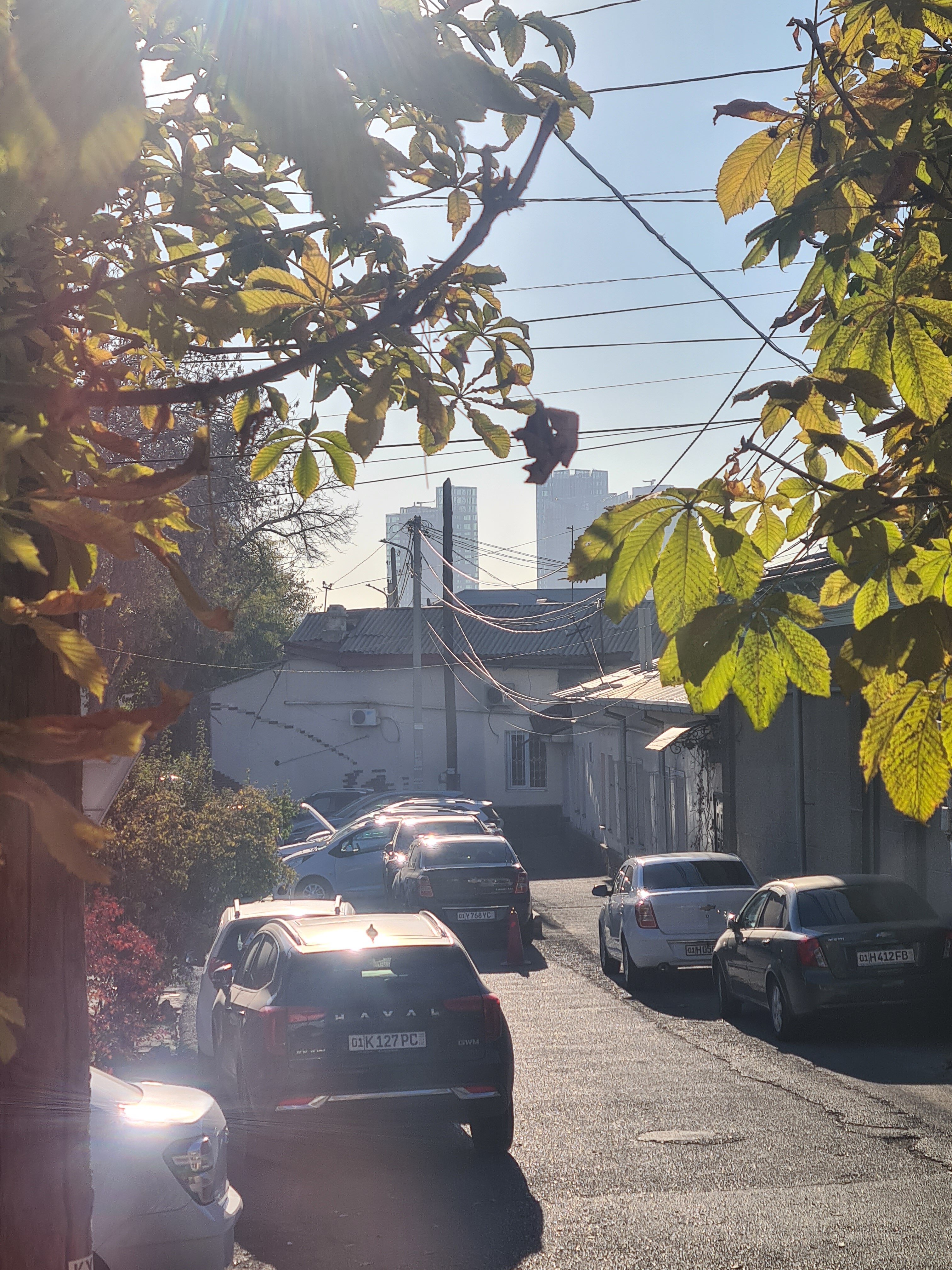 Фото Gulnara Guesthouse