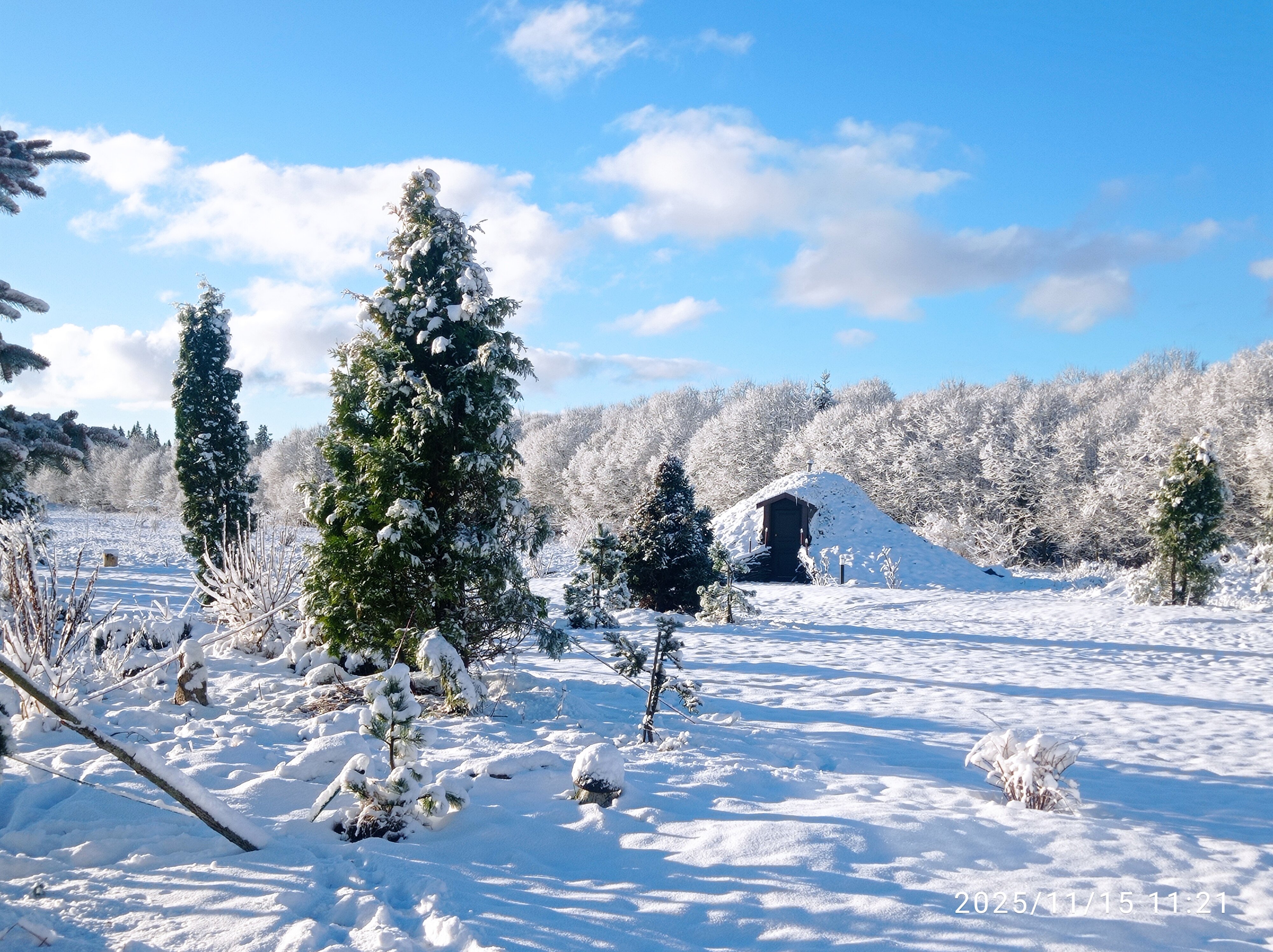 Фото Экоусадьба Зеленые Холмы