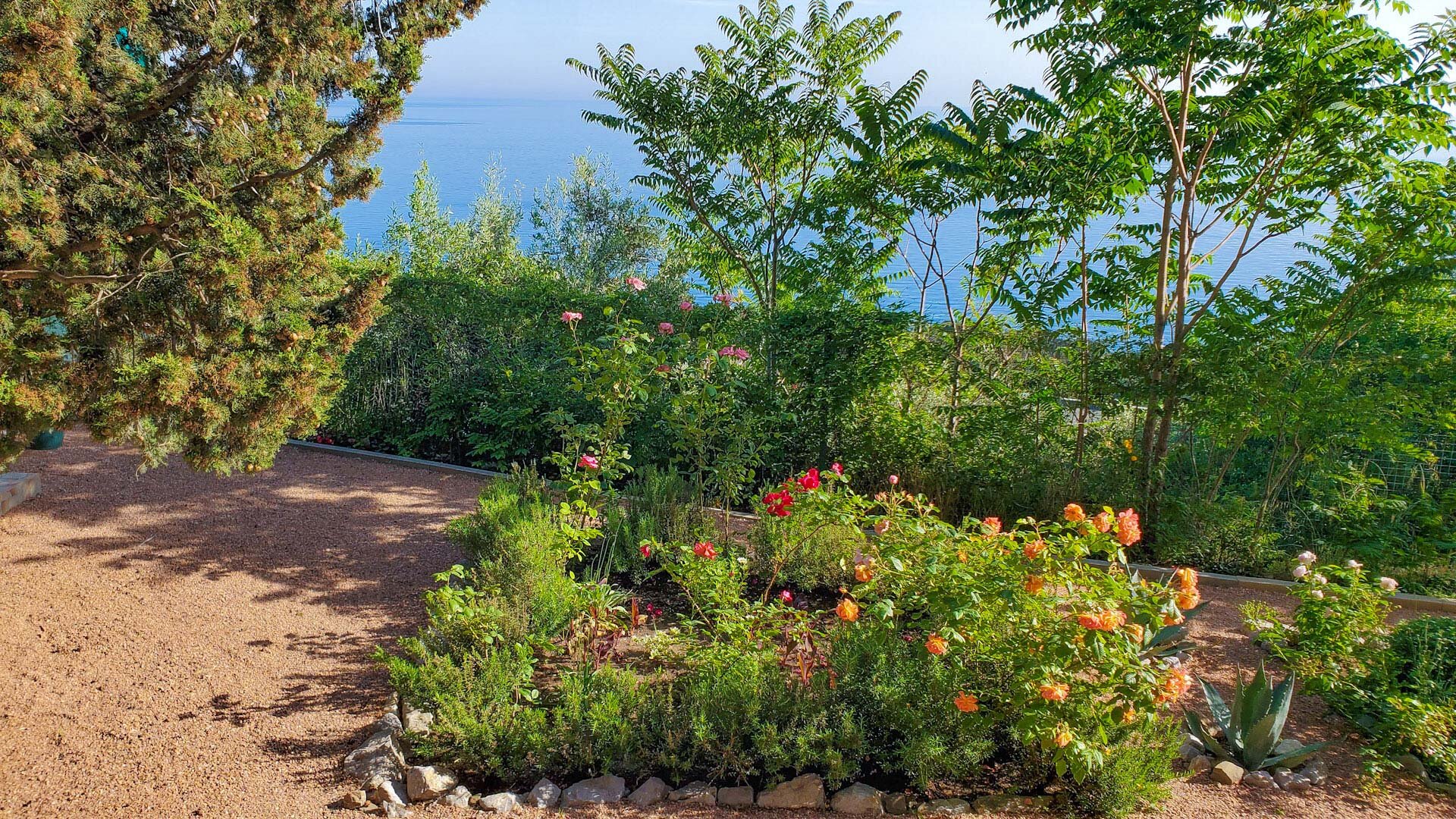 Фото Жуковка