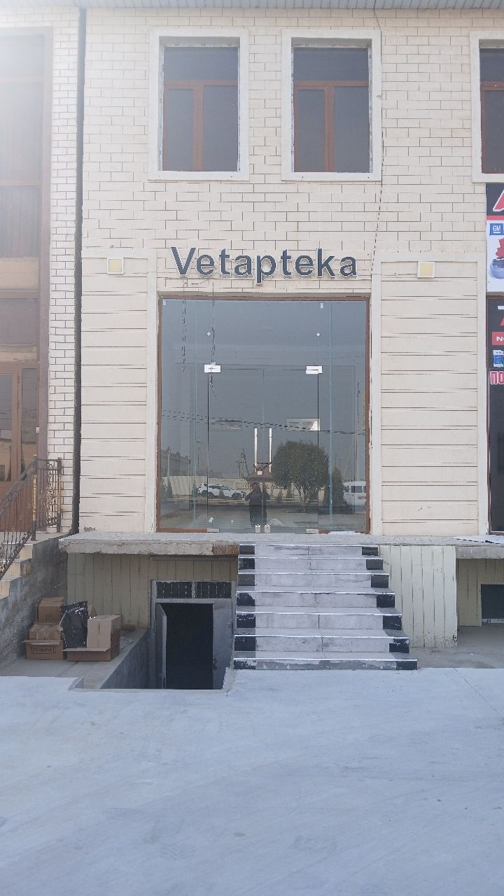 Фото Отель Афсона