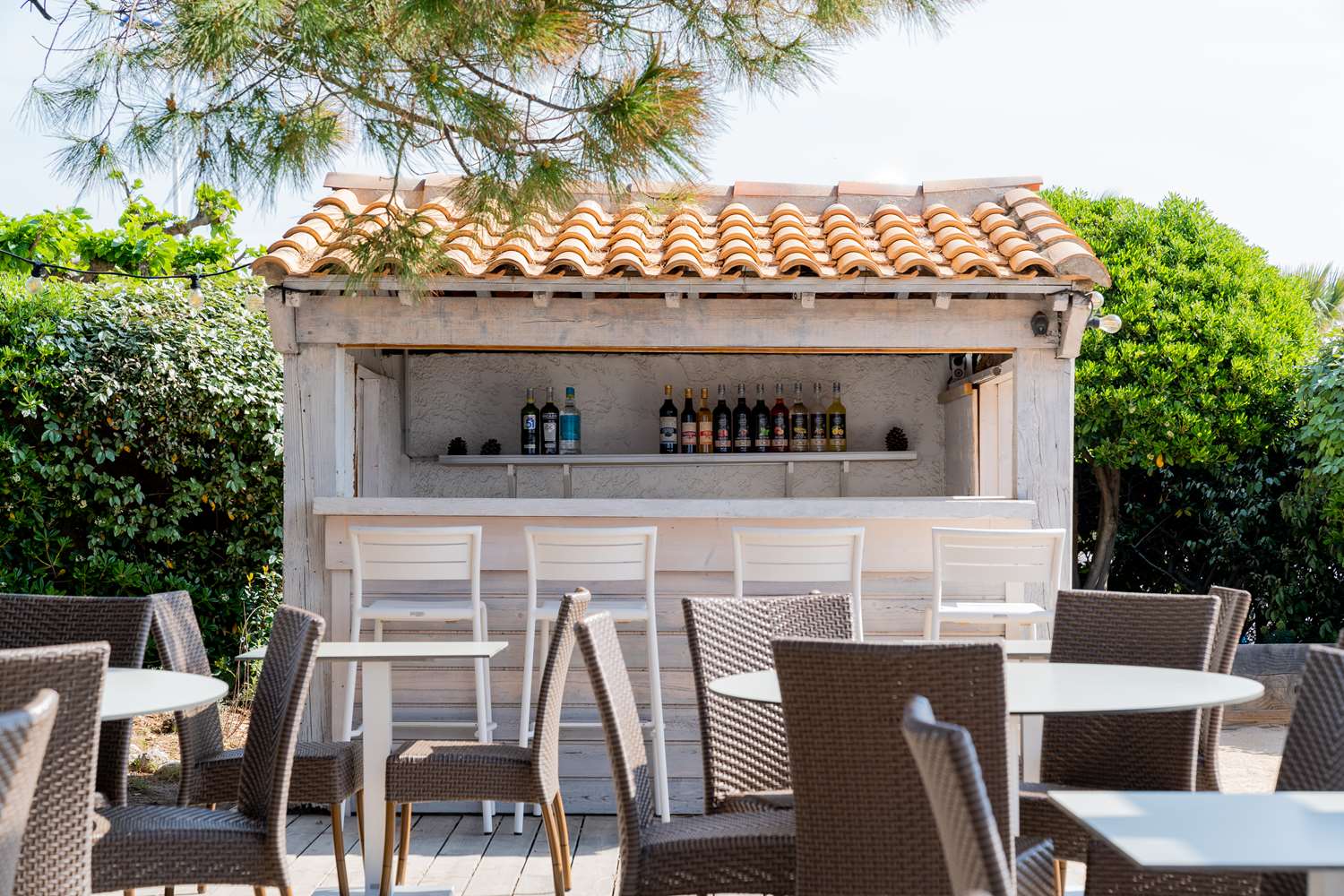 Фото Paradou Mediterranée