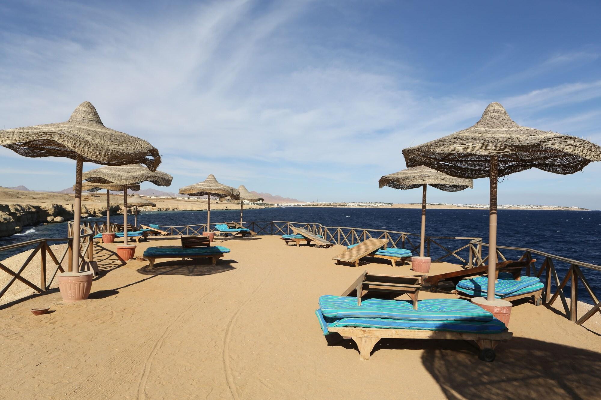 Фото Club Reef Resort