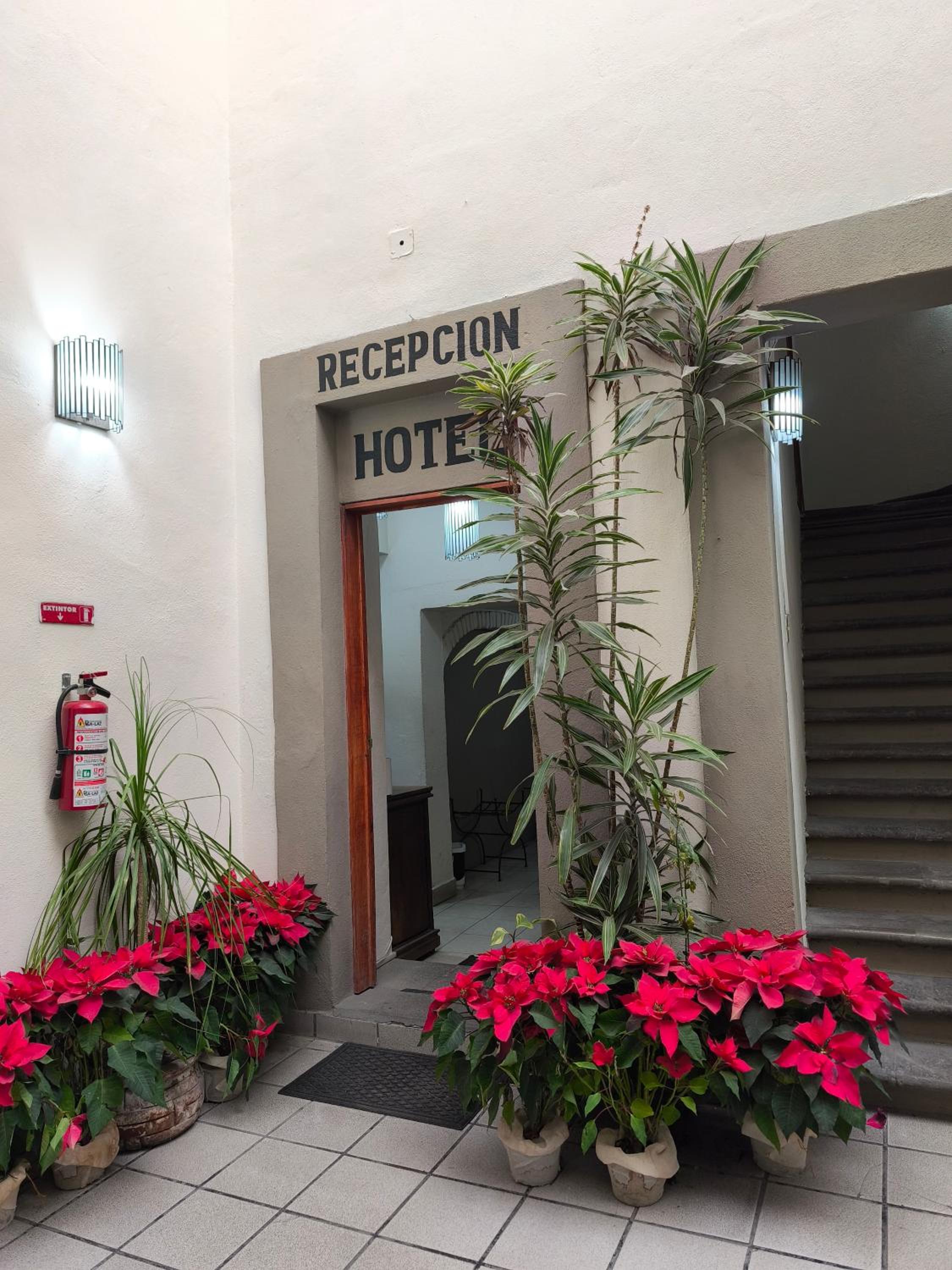 Фото Hotel Casa Morena