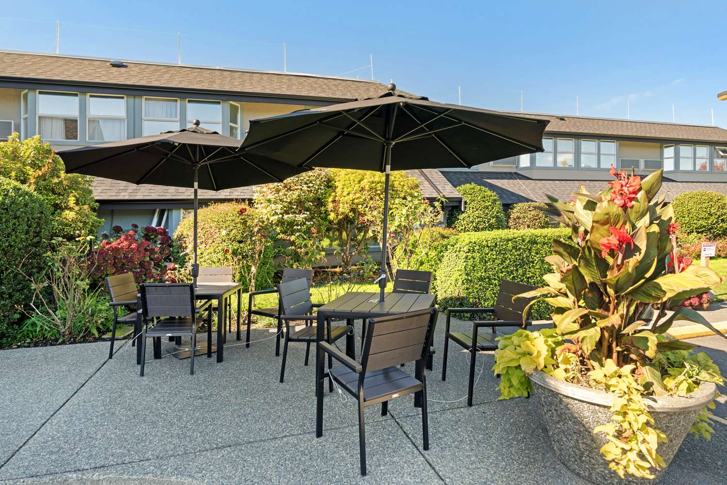 Фото Best Western Plus Emerald Isle Hotel