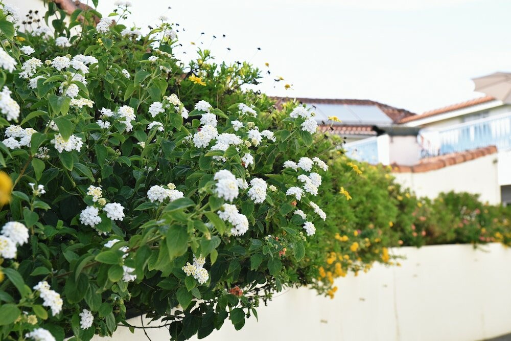 Фото Hotel Aeroporto