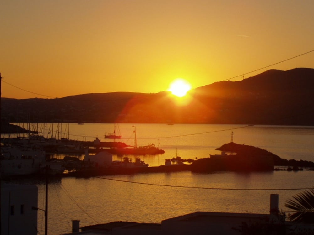 Фото Despina's Mare