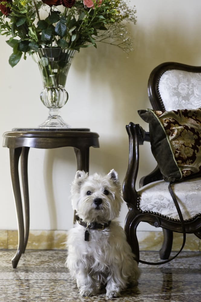 Фото Hotel Principe