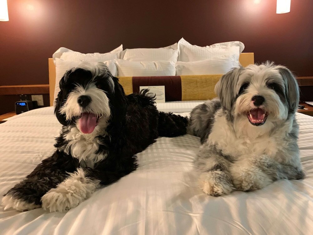 Фото Willows Lodge