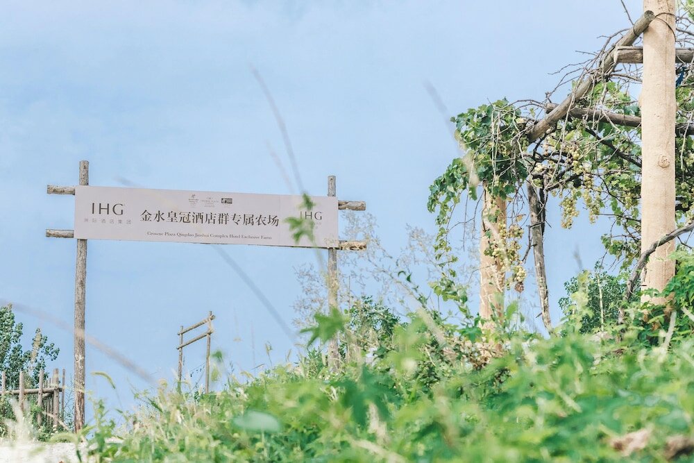 Фото Crowne Plaza Qingdao Jinshui, an Ihg Hotel