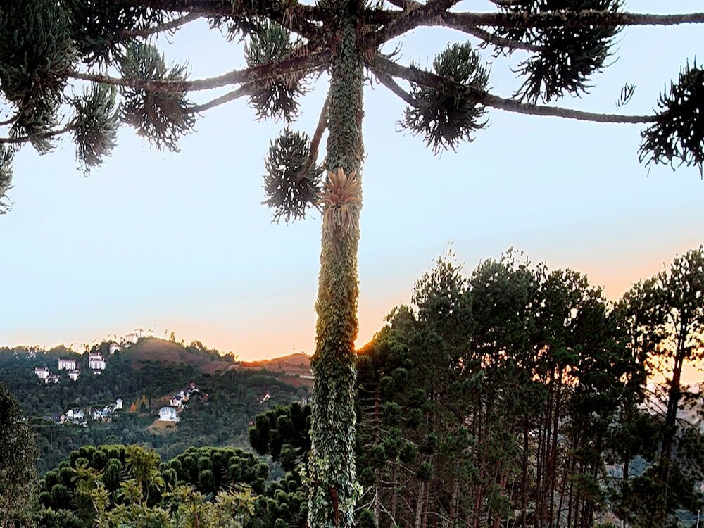 Фото Recanto das Araucarias