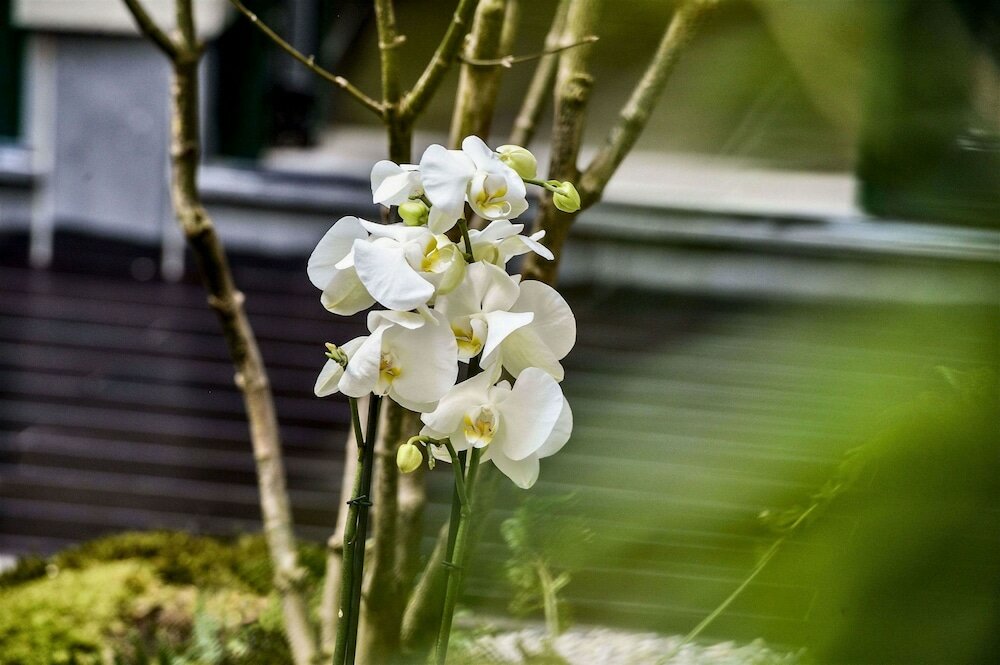 Фото Yadoya Hotel