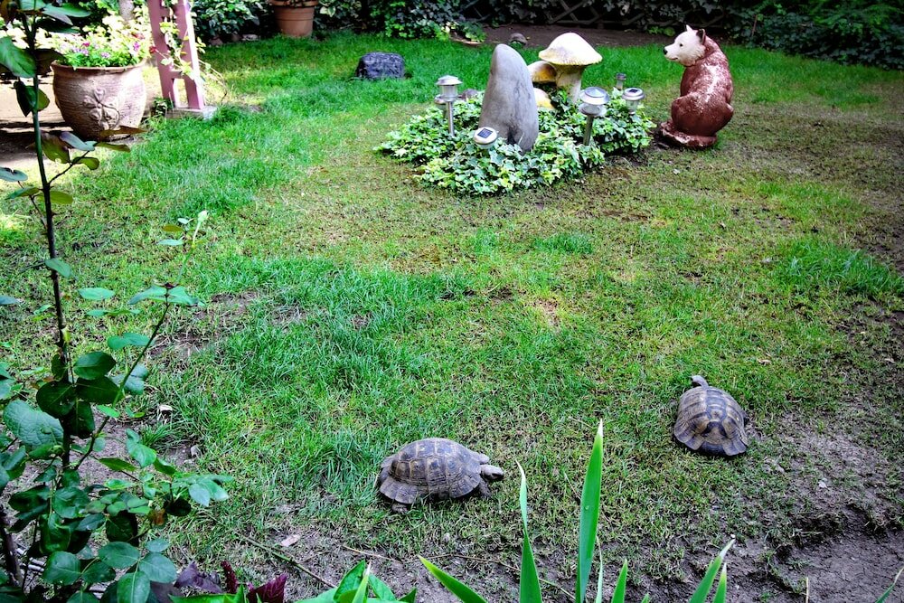 Фото Ирмени