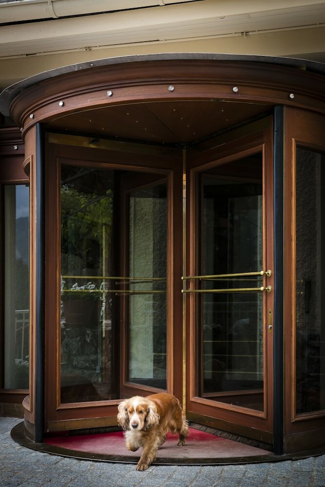 Фото Hotel Regina Wengen