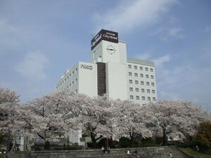 Гостиница Tottori City Hotel