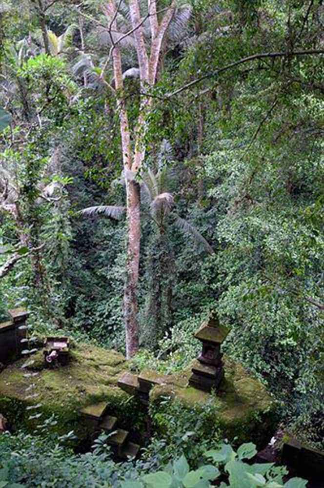 Фото Ubud Dedari Villas