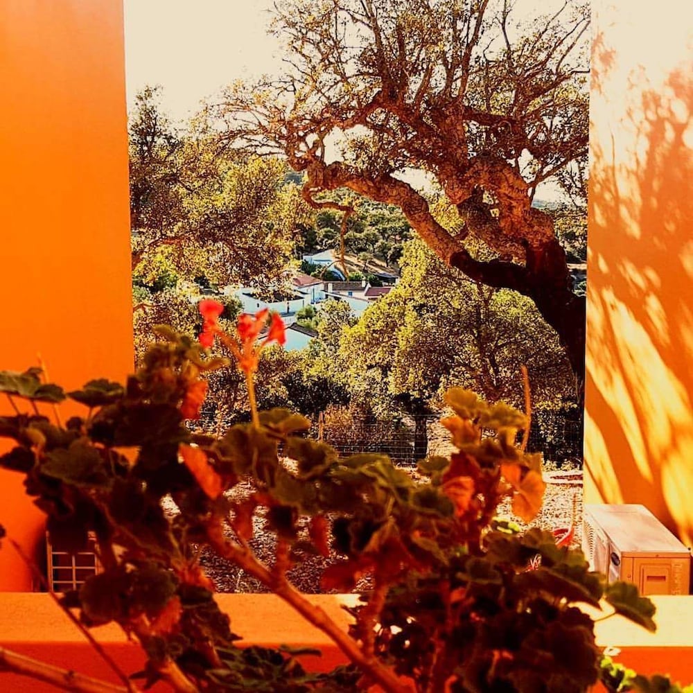 Фото Monte da Esperança