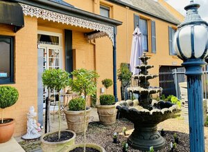 Гостиница The Mews Motel