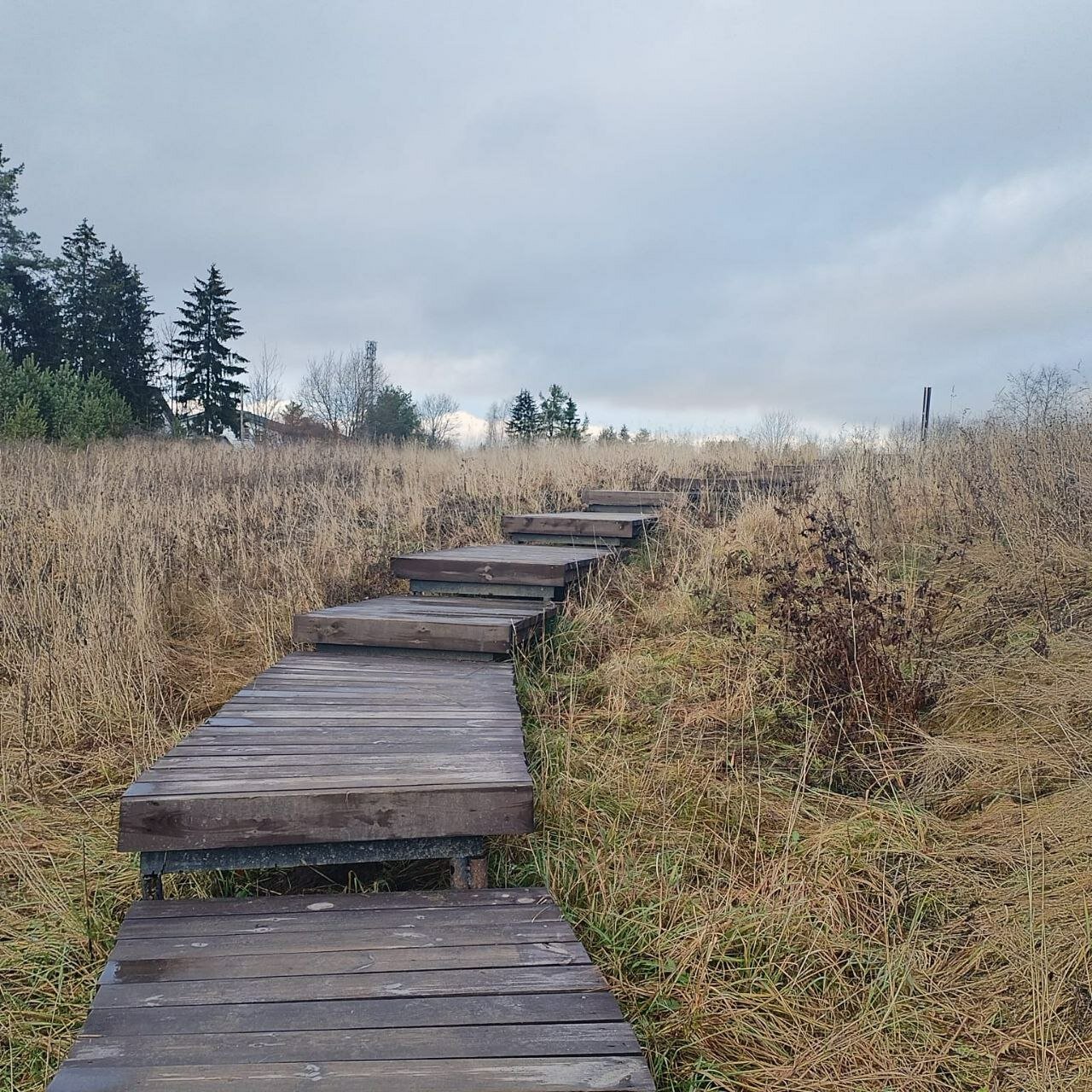 Фото Саблинские Дачи