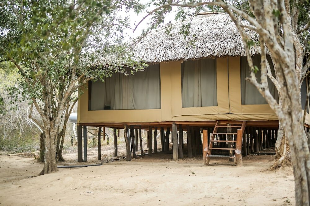 Фото Yala Safari Camping - All Inclusive