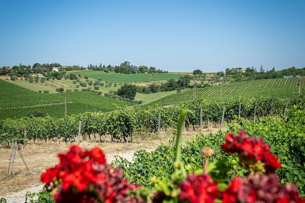 Фото Hotel Estense