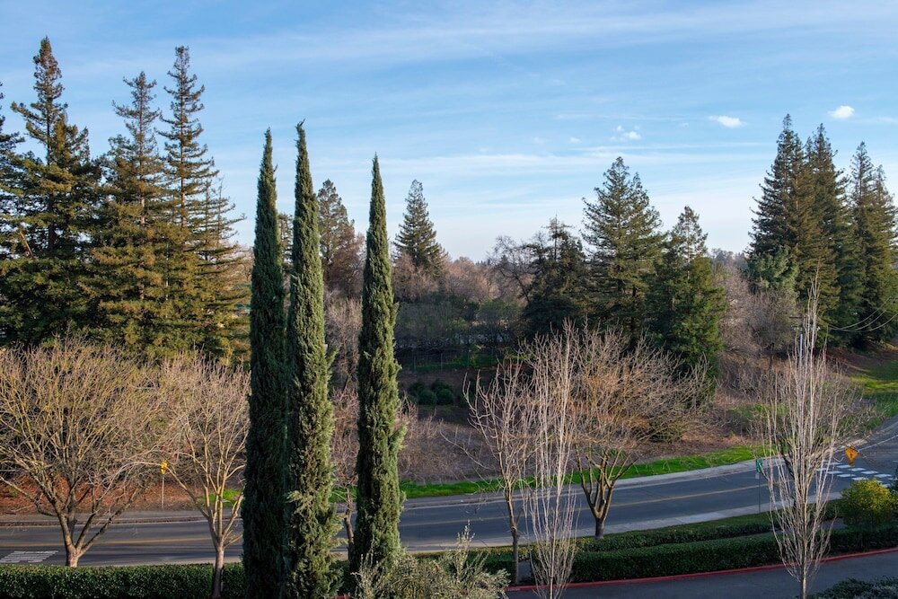 Фото The Westin Sacramento