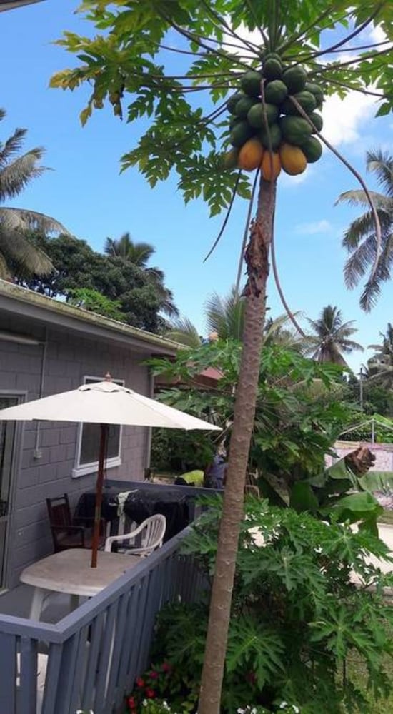 Фото Dayspring Lodge