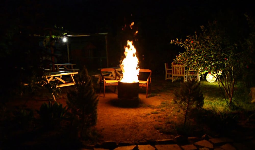 Фото Koala Bungalows