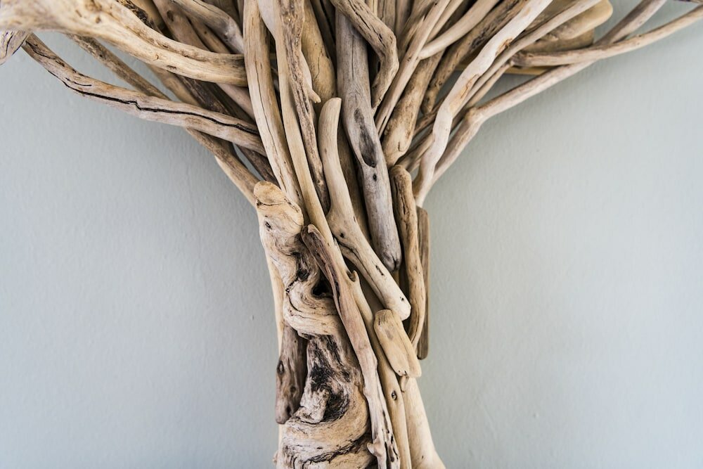 Фото Kunjani Cottages