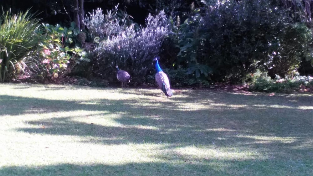 Фото Southern Light Country House