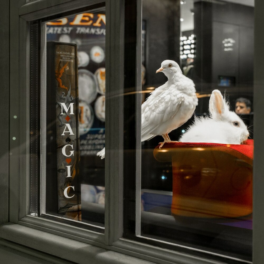 Фото Hôtel Splendor Elysées